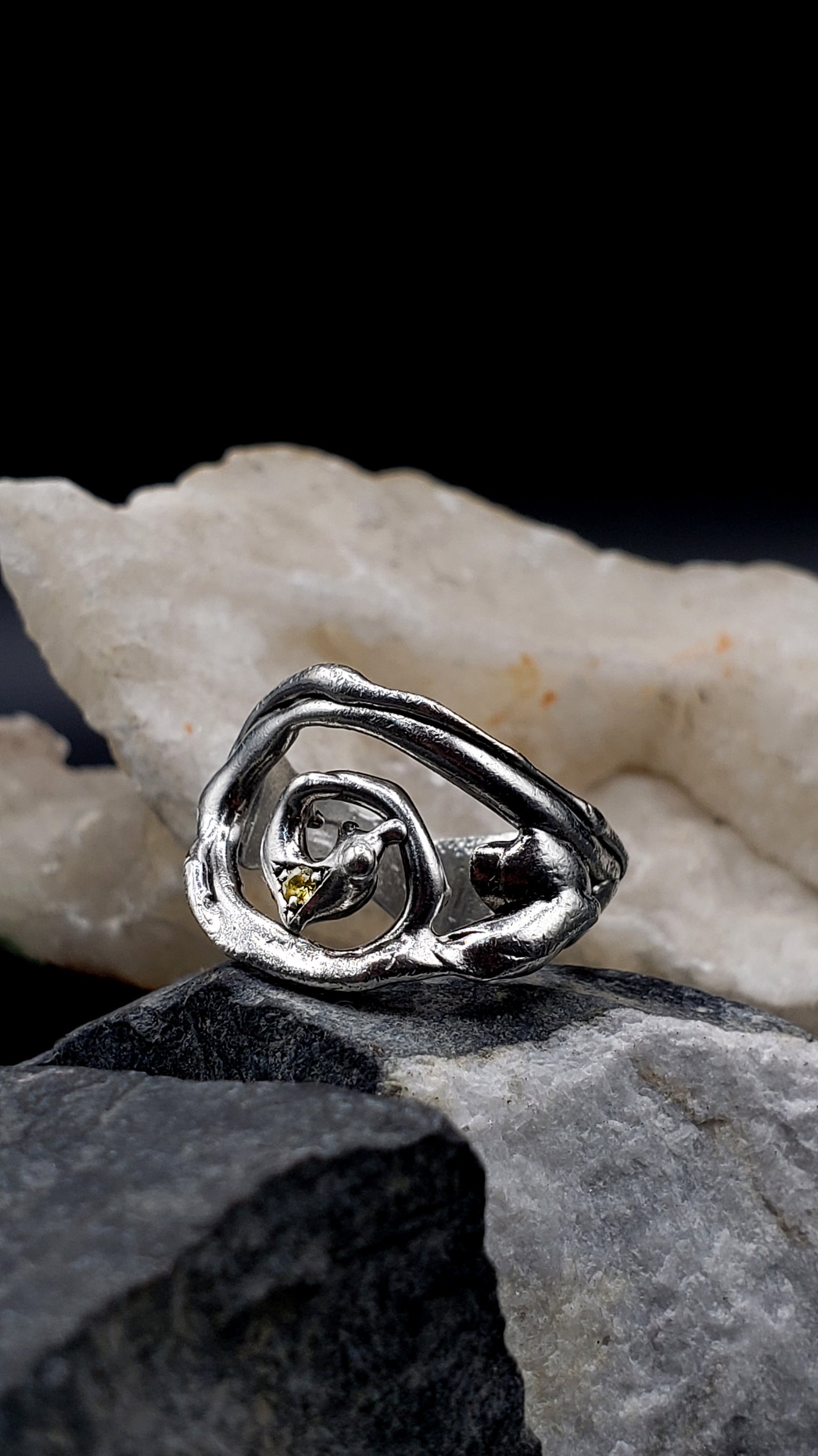 ANILLO ESPIRAL