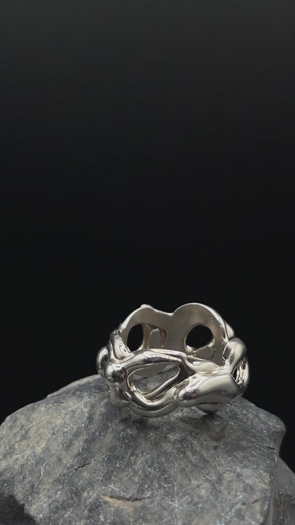 ANILLO DE CICLOS